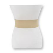 Gold Metal Buckle Stretch Waist Belt
